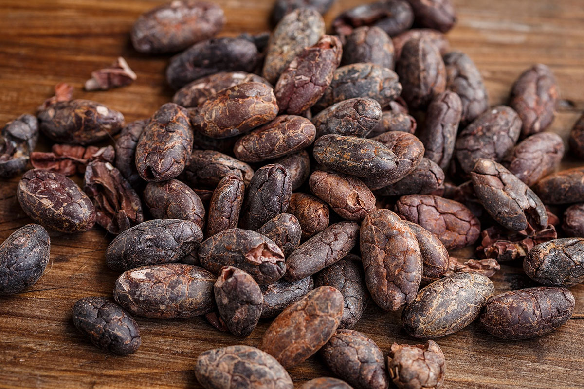 Базовое масло какао (Theobroma cacao) — свойства, применение, польза и ...