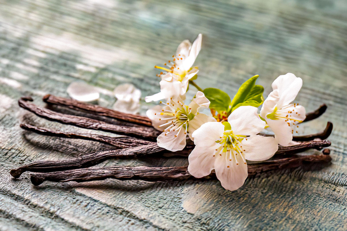 Эфирное масло ванили (Vanilla planifolia) — свойства, применение, польза и  вред — Aroma Joy